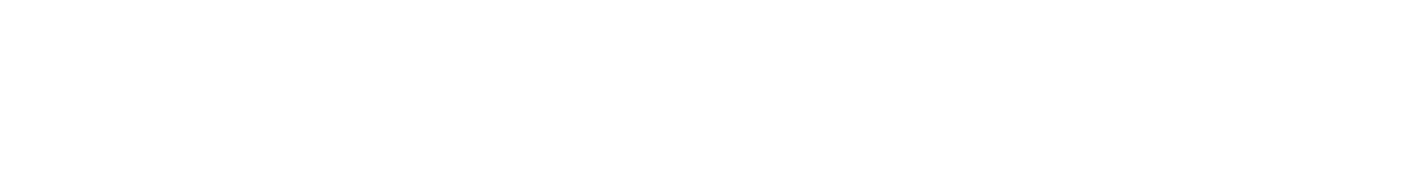 DUCK_BERET logo (white)